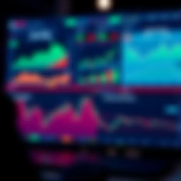 Dashboard showing performance analytics and risk assessment for copy trading investments